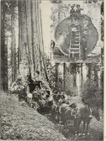 An illustration from Rosicrucian fundamentals : an exposition of the Rosicrucian synthesis of religion, science and philosophy, in fourteen complete instructions (1920)