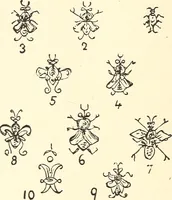 Picture 10 of 102 from The Rosicrucians, their rites and mysteries (1921), leaf 215