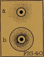An illustration from Rosicrvcian symbology; a treatise wherein the discerning ones will find the elements of constructive symbology and certain other things (1916)