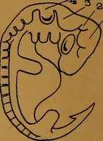 An illustration from Rosicrvcian symbology; a treatise wherein the discerning ones will find the elements of constructive symbology and certain other things (1916)