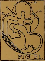 Picture 25 of 50 from Rosicrvcian symbology; a treatise wherein the discerning ones will find the elements of constructive symbology and certain other things (1916), leaf 43