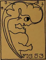 An illustration from Rosicrvcian symbology; a treatise wherein the discerning ones will find the elements of constructive symbology and certain other things (1916)