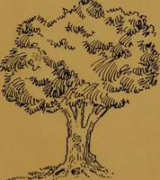 An illustration from Rosicrvcian symbology; a treatise wherein the discerning ones will find the elements of constructive symbology and certain other things (1916)