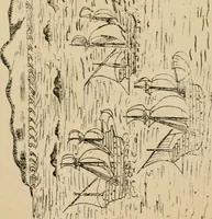 An illustration from Roteiro de Lisboa a Goa, annotado por João de Andrade Corvo (1882)