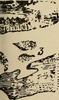 An illustration from Roteiro de Lisboa a Goa, annotado por João de Andrade Corvo (1882)