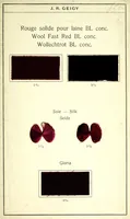 An illustration from Rouge solide pour laine Bl conc. = Wool fast red BL conc. = Wollechtrot BL conc (1910)