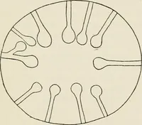 An illustration from Rough stone monuments and their builders (1912)