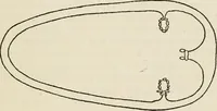 An illustration from Rough stone monuments and their builders (1912)