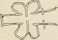 An illustration from Rough stone monuments and their builders (1912)