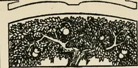 An illustration from Rough stone monuments and their builders (1912)