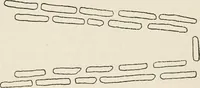 An illustration from Rough stone monuments and their builders (1912)