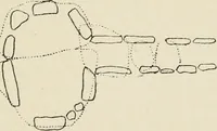 An illustration from Rough stone monuments and their builders (1912)
