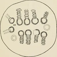 An illustration from Rough stone monuments and their builders (1912)