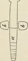 An illustration from Rough stone monuments and their builders (1912)