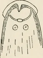 Picture 15 of 28 from Rough stone monuments and their builders (1912), leaf 87