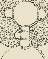 An illustration from Rough stone monuments and their builders (1912)