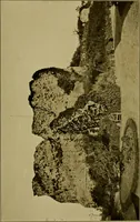 An illustration from Royal castles of England; comprising an account of those ancient fortresses which from the days of William the Conqueror either were the homes of English sovereigns or have been intimately associated with the history and romance of their lives (1913)