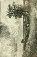 An illustration from Royal collections : Windsor Castle and Buckingham Palace (1900)
