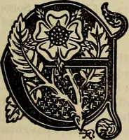 An illustration from The royal lineage of our noble and gentle families. Together with their paternal ancestry .. (1884)