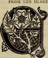 An illustration from The royal lineage of our noble and gentle families. Together with their paternal ancestry .. (1884)