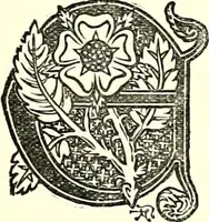 An illustration from The royal lineage of our noble and gentle families. Together with their paternal ancestry .. (1887)