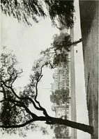 Picture 19 of 102 from The royal palaces, historic castles and stately homes of Great Britain; (1913), leaf 52
