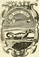 Picture 51 of 53 from The royal politician represented in one hundred emblems (1700), leaf 364