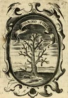 Picture 21 of 56 from The royal politician represented in one hundred emblems (1700), leaf 139