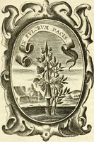 Picture 28 of 56 from The royal politician represented in one hundred emblems (1700), leaf 196