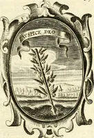 Picture 41 of 56 from The royal politician represented in one hundred emblems (1700), leaf 278