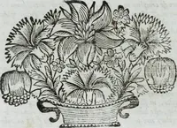 An illustration from R.P.D. Antoninus Diana Panormitanus ... Coordinatus, seu, Omnes resolutiones morales : eius ipsissimis verbis ad propria loca, & materias fideliter dispositae, ac distributae .. (1680)