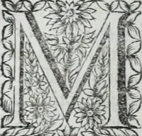 An illustration from R.P.D. Antoninus Diana Panormitanus ... Coordinatus, seu, Omnes resolutiones morales : eius ipsissimis verbis ad propria loca, & materias fideliter dispositae, ac distributae .. (1680)