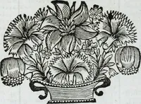 An illustration from R.P.D. Antoninus Diana Panormitanus ... Coordinatus, seu, Omnes resolutiones morales : eius ipsissimis verbis ad propria loca, & materias fideliter dispositae, ac distributae .. (1680)