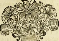 An illustration from R.P.D. Antoninus Diana Panormitanus ... Coordinatus, seu, Omnes resolutiones morales : eius ipsissimis verbis ad propria loca, & materias fideliter dispositae, ac distributae .. (1680)