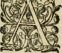 An illustration from R.P.D. Antoninus Diana Panormitanus ... Coordinatus, seu, Omnes resolutiones morales : eius ipsissimis verbis ad propria loca, & materias fideliter dispositae, ac distributae .. (1680)