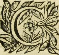 An illustration from R.P.D. Antoninus Diana Panormitanus ... Coordinatus, seu, Omnes resolutiones morales : eius ipsissimis verbis ad propria loca, & materias fideliter dispositae, ac distributae .. (1680)