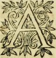 An illustration from R.P.D. Antoninus Diana Panormitanus ... Coordinatus, seu, Omnes resolutiones morales : eius ipsissimis verbis ad propria loca, & materias fideliter dispositae, ac distributae .. (1680)