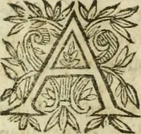 An illustration from R.P.D. Antoninus Diana Panormitanus ... Coordinatus, seu, Omnes resolutiones morales : eius ipsissimis verbis ad propria loca, & materias fideliter dispositae, ac distributae .. (1680)