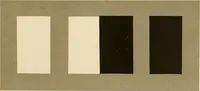 An illustration from Répertoire de couleurs pour aider à la détermination des couleurs des fleurs, des feuillages et des fruits (1905)
