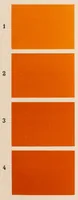 An illustration from Répertoire de couleurs pour aider à la détermination des couleurs des fleurs, des feuillages et des fruits (1905)