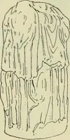 An illustration from Répertoire de la statuaire grecque et romaine (1908)