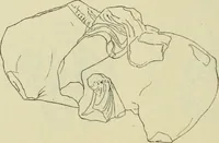 An illustration from Répertoire de la statuaire grecque et romaine (1908)