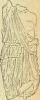An illustration from Répertoire de la statuaire grecque et romaine (1908)