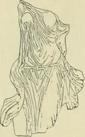 An illustration from Répertoire de la statuaire grecque et romaine (1908)