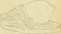 An illustration from Répertoire de la statuaire grecque et romaine (1908)