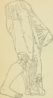 An illustration from Répertoire de la statuaire grecque et romaine (1908)
