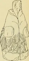 An illustration from Répertoire de la statuaire grecque et romaine (1908)
