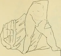 An illustration from Répertoire de la statuaire grecque et romaine (1908)
