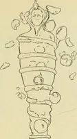 An illustration from Répertoire de la statuaire grecque et romaine (1908)