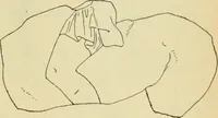 An illustration from Répertoire de la statuaire grecque et romaine (1908)